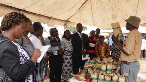 Strengthening Agricultural Input And Output Markets in Africa [SAIOMA] | Projects | AGMARK