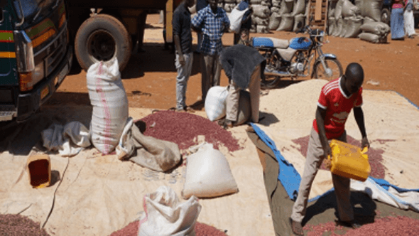 Feed The Future East Africa Food Security Through Enhanced Regional Trade Activity | Projects | AGMARK
