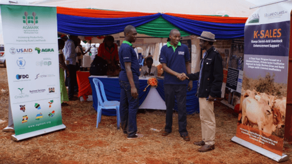 Kenya Semi Arid Livestock Enhancement Support [K-SALES] | Projects | AGMARK