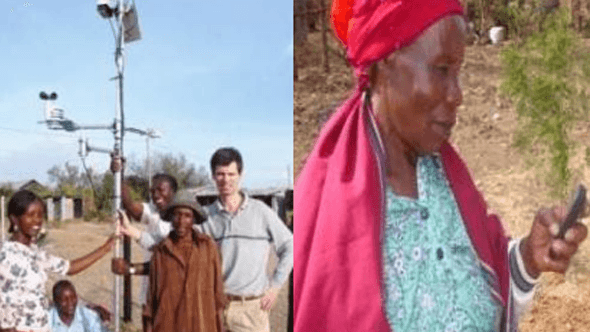 Smallholder Crop Insurance Project “KILIMO SALAMA” | Projects | AGMARK