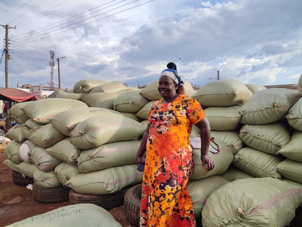 Ms. Pauline Ikapoloni, Cereal Leader, Busia Women Cross Border Traders SACCO [Kenya] Woman trader from Busia Women Cross Border Traders SACCO [Kenya] in orange dress by green sacks in Busia Kenya Uganda border area with clear sky and utility poles