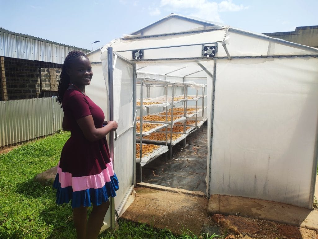 Solar Dryer Busia